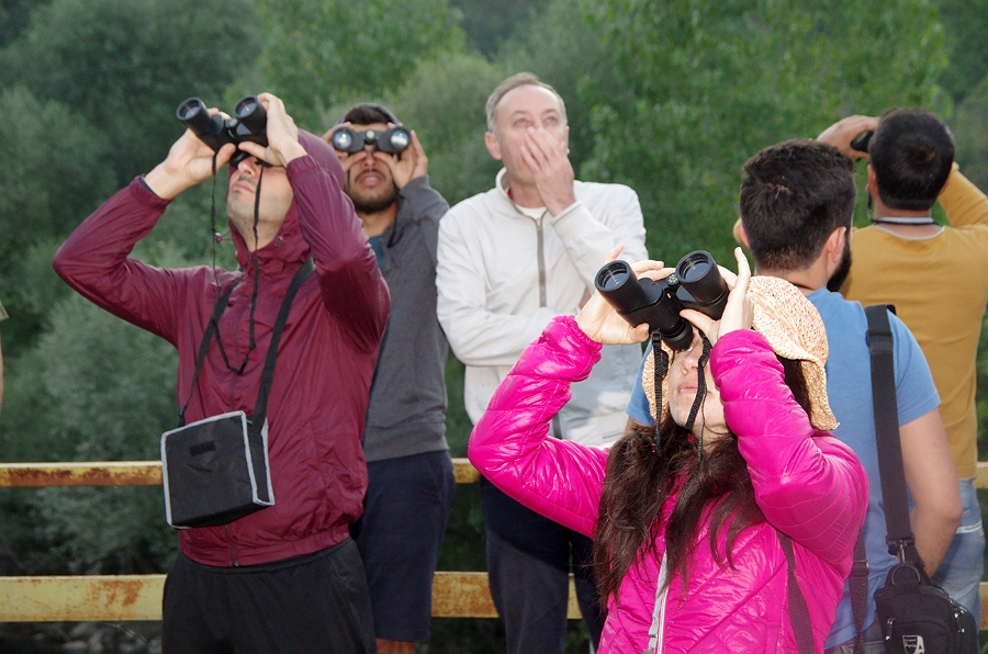 MRBG0375.jpg - 3. G�n | "Seher y�r�y��� - Ku� ve do�a g�zlemleri" | Derey�r�k K�y�, Osmaneli