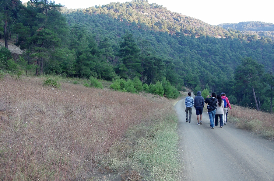 MRBG0382.jpg - 3. G�n | "Seher y�r�y��� - Ku� ve do�a g�zlemleri" | Derey�r�k K�y�, Osmaneli