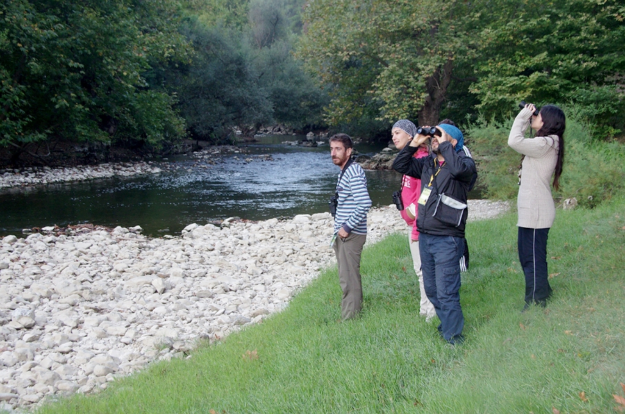 MRBG0401.jpg - 3. G�n | "Seher y�r�y��� - Ku� ve do�a g�zlemleri" | Derey�r�k K�y�, Osmaneli