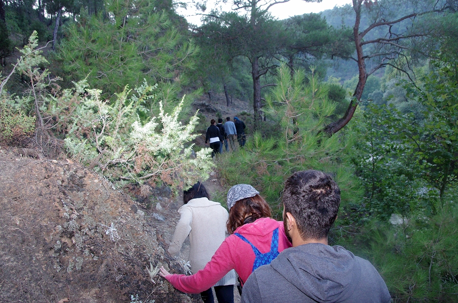 MRBG0432.jpg - 3. G�n | "Seher y�r�y��� - Ku� ve do�a g�zlemleri" | Derey�r�k K�y�, Osmaneli