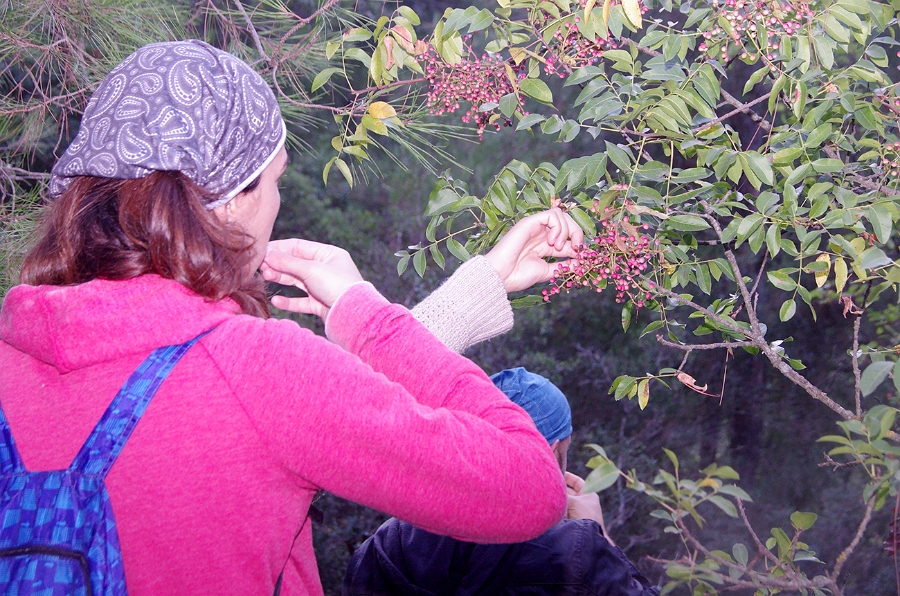 MRBG0437.jpg - 3. G�n | "Seher y�r�y��� - Ku� ve do�a g�zlemleri" | Derey�r�k K�y�, Osmaneli