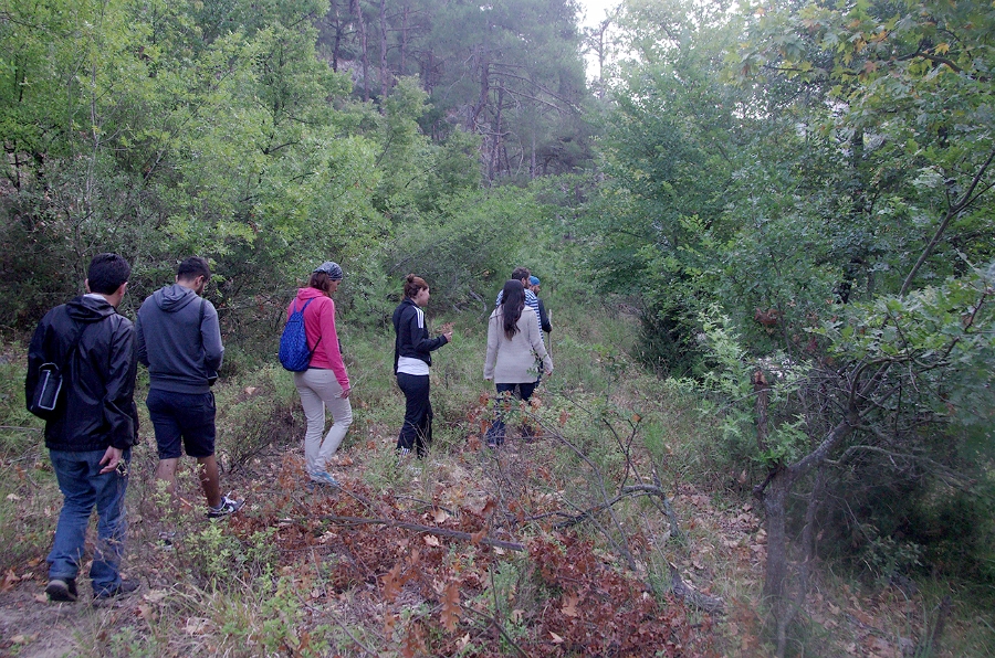 MRBG0447.jpg - 3. G�n | "Seher y�r�y��� - Ku� ve do�a g�zlemleri" | Derey�r�k K�y�, Osmaneli