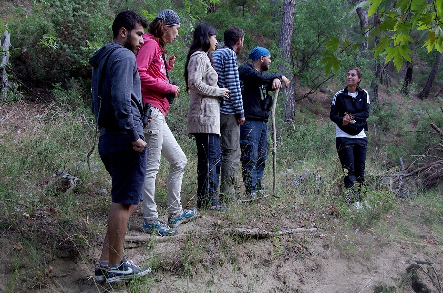 MRBG0450.jpg - 3. G�n | "Seher y�r�y��� - Ku� ve do�a g�zlemleri" | Derey�r�k K�y�, Osmaneli