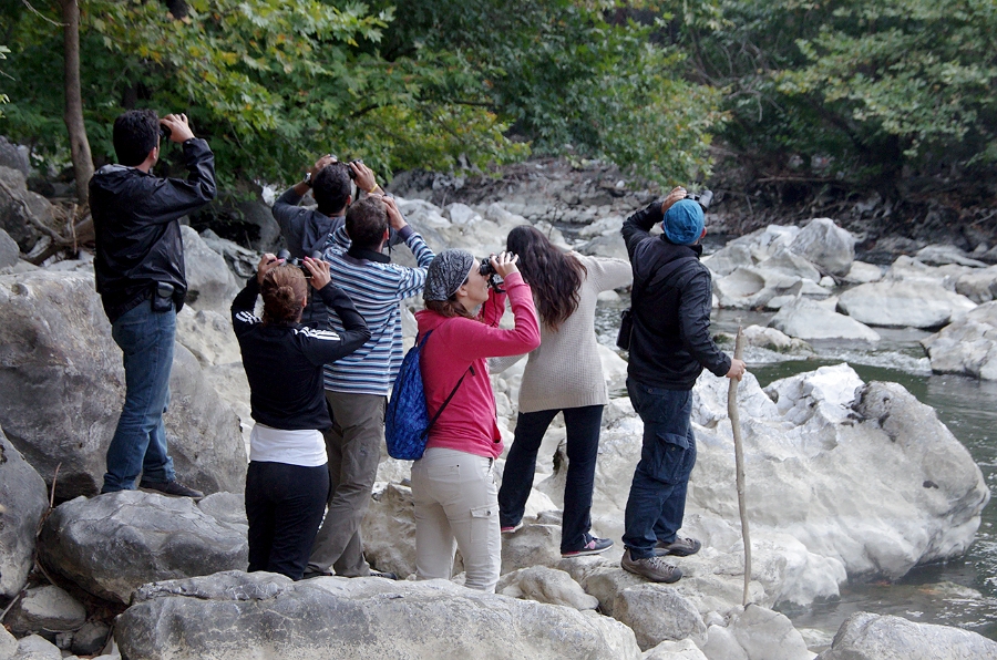 MRBG0479.jpg - 3. G�n | "Seher y�r�y��� - Ku� ve do�a g�zlemleri" | Derey�r�k K�y�, Osmaneli