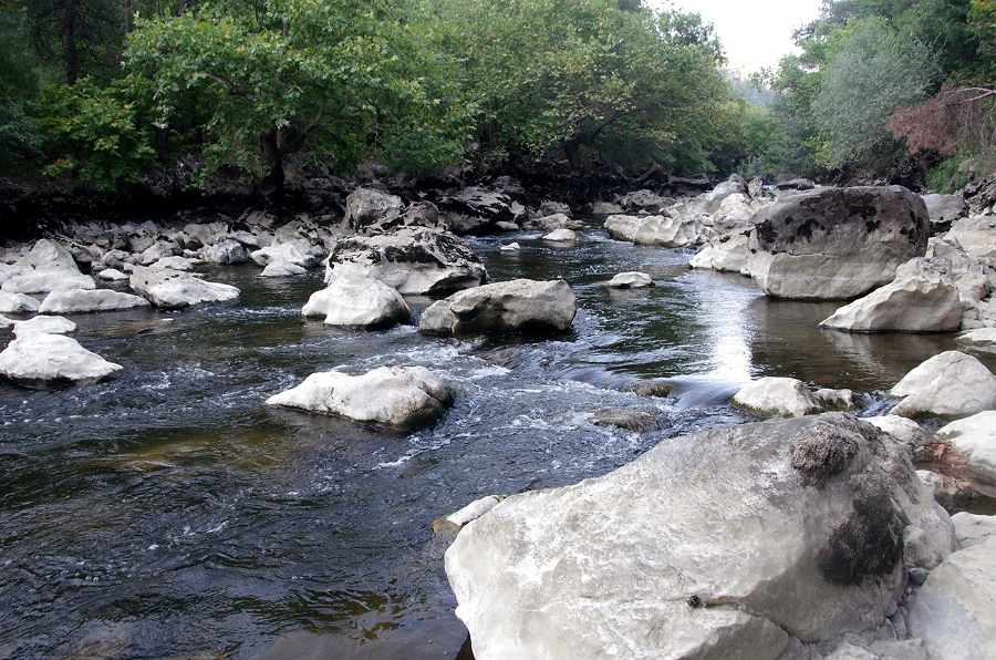 MRBG0486.jpg - 3. G�n | "Seher y�r�y��� - Ku� ve do�a g�zlemleri" | Derey�r�k K�y�, Osmaneli