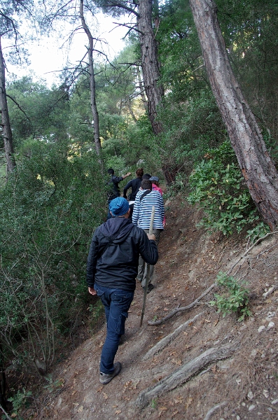 MRBG0507.jpg - 3. G�n | "Seher y�r�y��� - Ku� ve do�a g�zlemleri" | Derey�r�k K�y�, Osmaneli