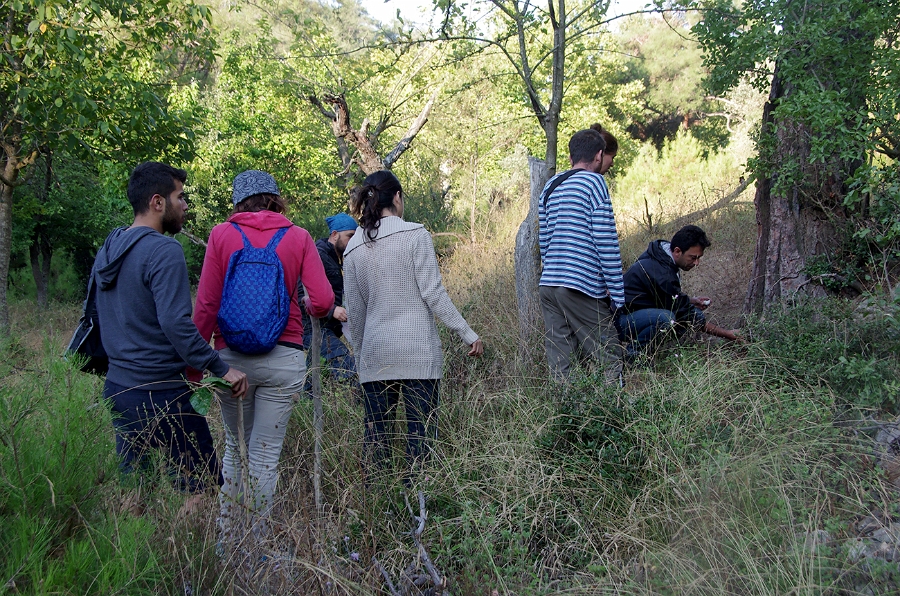 MRBG0516.jpg - 3. G�n | "Seher y�r�y��� - Ku� ve do�a g�zlemleri" | Derey�r�k K�y�, Osmaneli