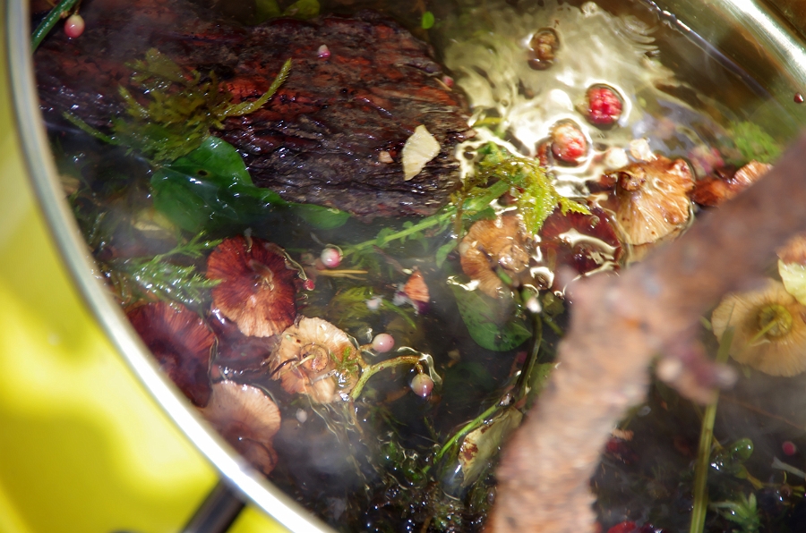 MRBG0647.jpg - 3. G�n | "Do�a Renk Veriyor; Ti��rt�m� Boyuyorum" | Derey�r�k K�y�, Osmaneli