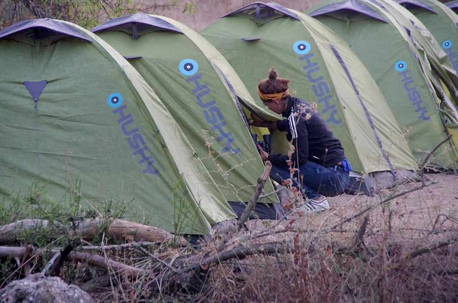 MRBG1152.jpg - 4. G�n | "Seher y�r�y��� - Ku� ve do�a g�zlemleri" | Derey�r�k K�y�, Osmaneli