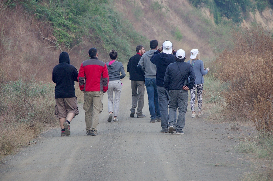 MRBG1167.jpg - 4. G�n | "Seher y�r�y��� - Ku� ve do�a g�zlemleri" | Derey�r�k K�y�, Osmaneli