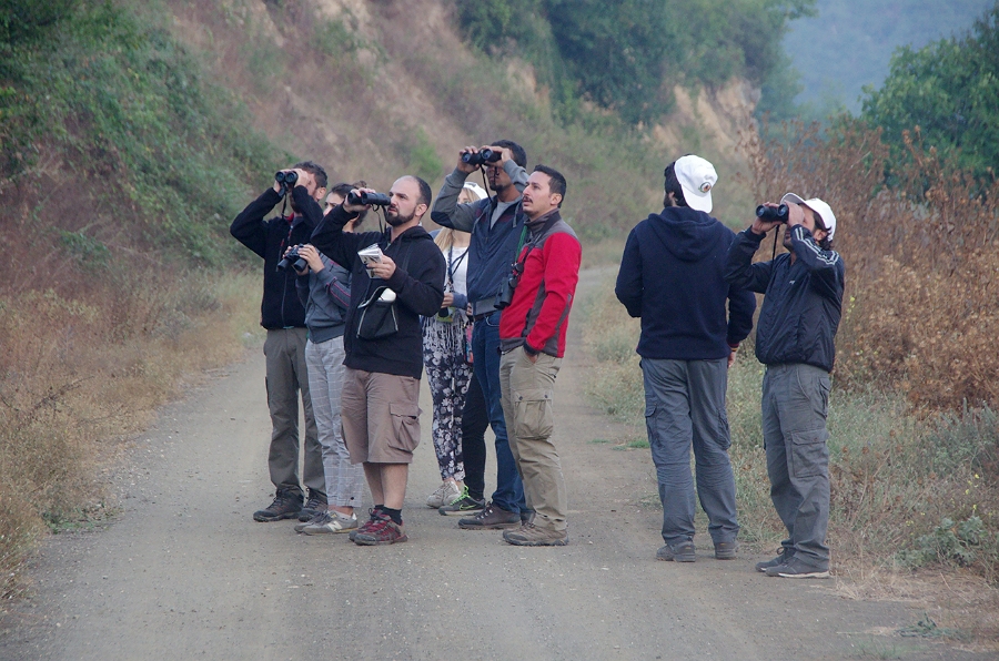 MRBG1169.jpg - 4. G�n | "Seher y�r�y��� - Ku� ve do�a g�zlemleri" | Derey�r�k K�y�, Osmaneli