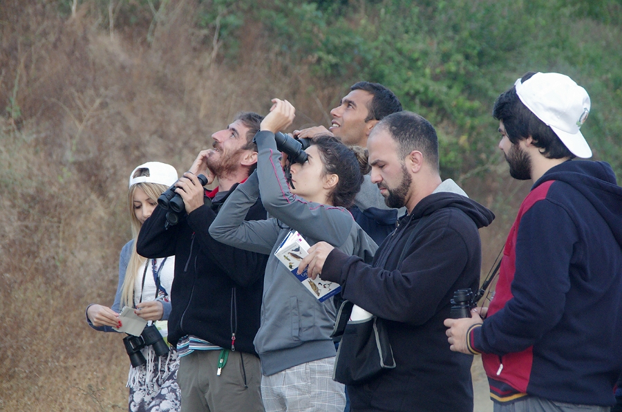 MRBG1178.jpg - 4. G�n | "Seher y�r�y��� - Ku� ve do�a g�zlemleri" | Derey�r�k K�y�, Osmaneli