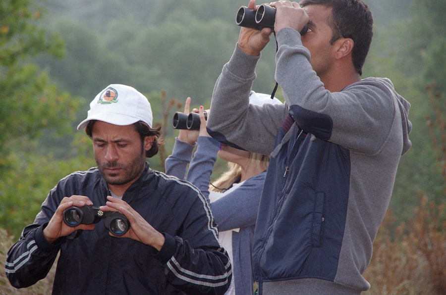 MRBG1188.jpg - 4. G�n | "Seher y�r�y��� - Ku� ve do�a g�zlemleri" | Derey�r�k K�y�, Osmaneli