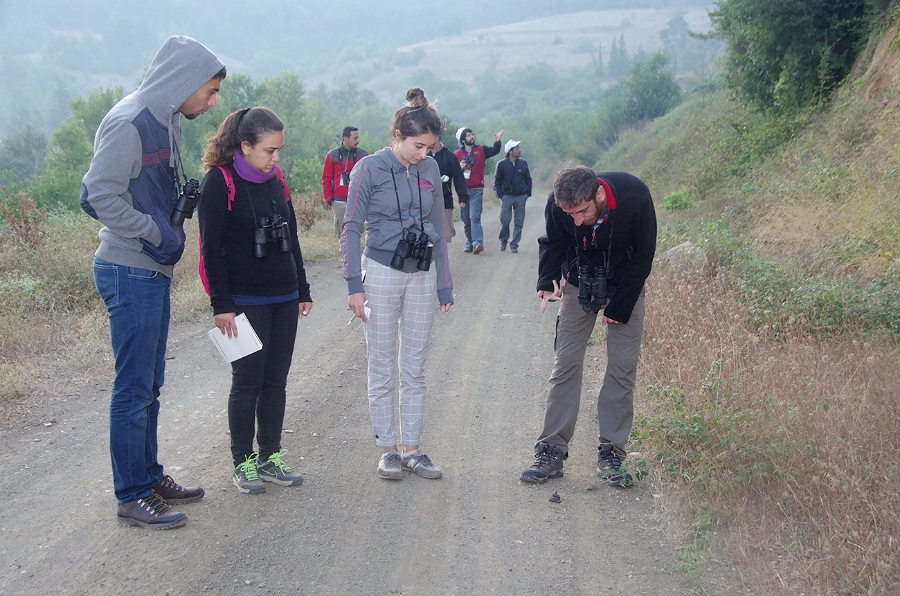 MRBG1192.jpg - 4. G�n | "Seher y�r�y��� - Ku� ve do�a g�zlemleri" | Derey�r�k K�y�, Osmaneli