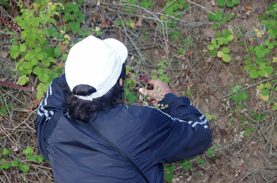 MRBG1197.jpg - 4. G�n | "Seher y�r�y��� - Ku� ve do�a g�zlemleri" | Derey�r�k K�y�, Osmaneli