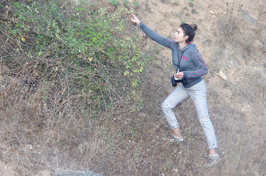 MRBG1200.jpg - 4. G�n | "Seher y�r�y��� - Ku� ve do�a g�zlemleri" | Derey�r�k K�y�, Osmaneli