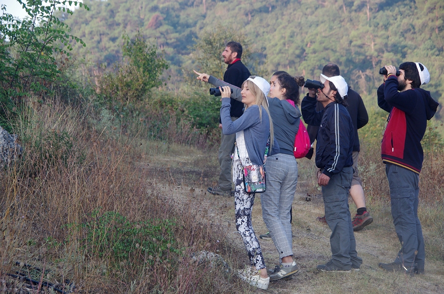 MRBG1237.jpg - 4. G�n | "Seher y�r�y��� - Ku� ve do�a g�zlemleri" | Derey�r�k K�y�, Osmaneli