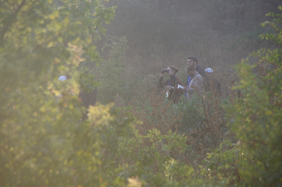 MRBG1239.jpg - 4. G�n | "Seher y�r�y��� - Ku� ve do�a g�zlemleri" | Derey�r�k K�y�, Osmaneli