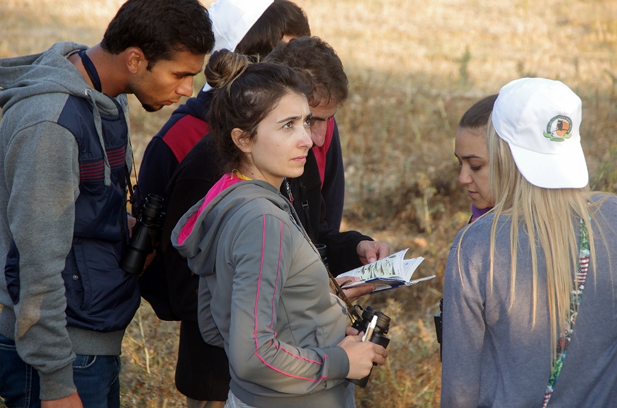 MRBG1245.jpg - 4. G�n | "Seher y�r�y��� - Ku� ve do�a g�zlemleri" | Derey�r�k K�y�, Osmaneli