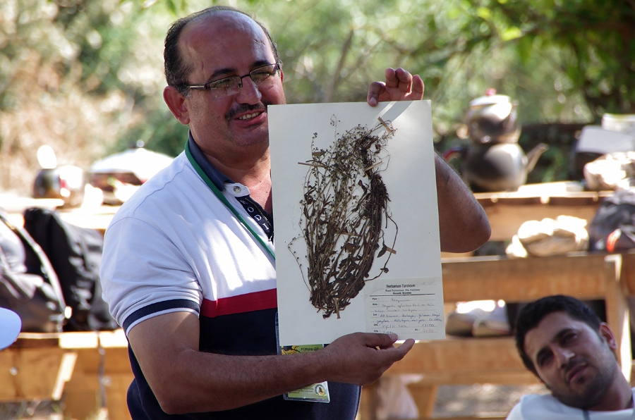 MRBG1416.jpg - 4. G�n | "Y�remizin Bitkilerini Tan�yal�m " | Derey�r�k K�y�, Osmaneli