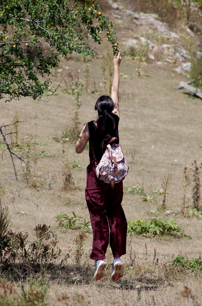 MRBG1738.jpg - 5. G�n | B�y�kali� Yaylas� | Osmaneli