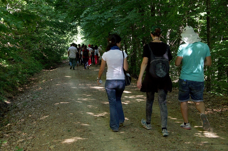 MRBG1839.jpg - 5. G�n | B�y�kali� Yaylas�, Do�a y�r�y��� | Osmaneli