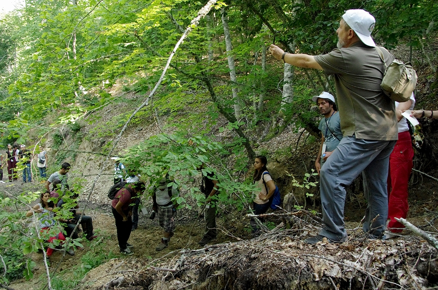 MRBG1893.jpg - 5. G�n | B�y�kali� Yaylas�, Do�a y�r�y��� | Osmaneli