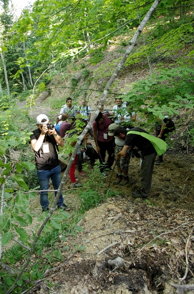 MRBG1896.jpg - 5. G�n | B�y�kali� Yaylas�, Do�a y�r�y��� | Osmaneli