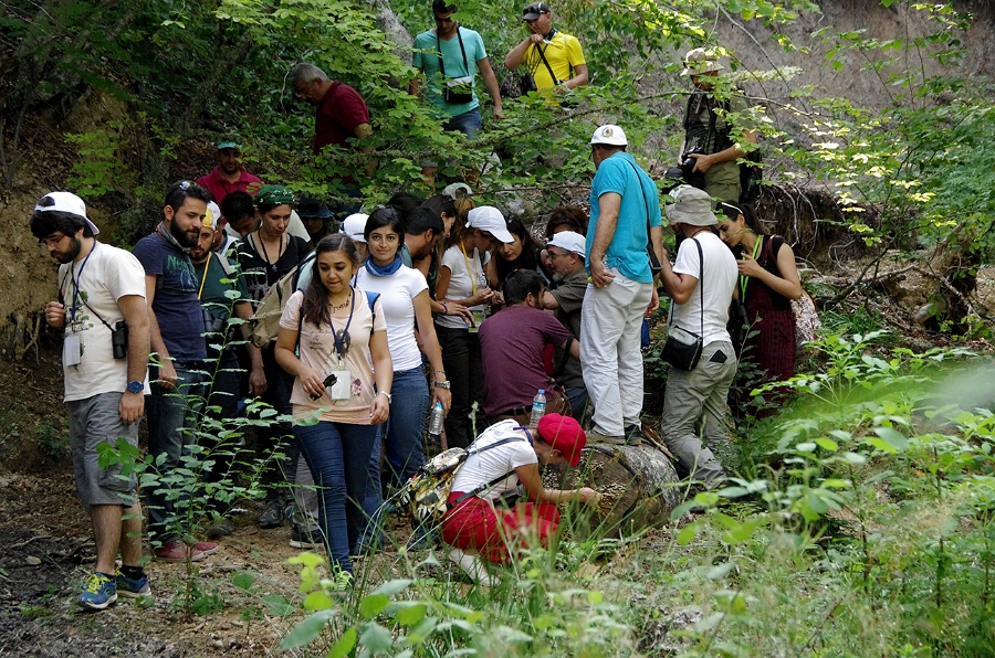 MRBG1906.jpg - 5. G�n | B�y�kali� Yaylas�, Do�a y�r�y��� | Osmaneli