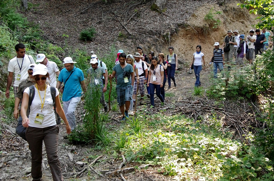 MRBG1915.jpg - 5. G�n | B�y�kali� Yaylas�, Do�a y�r�y��� | Osmaneli