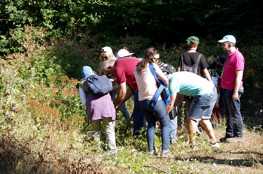 MRBG1940.jpg - 5. G�n | B�y�kali� Yaylas�, Do�a y�r�y��� | Osmaneli