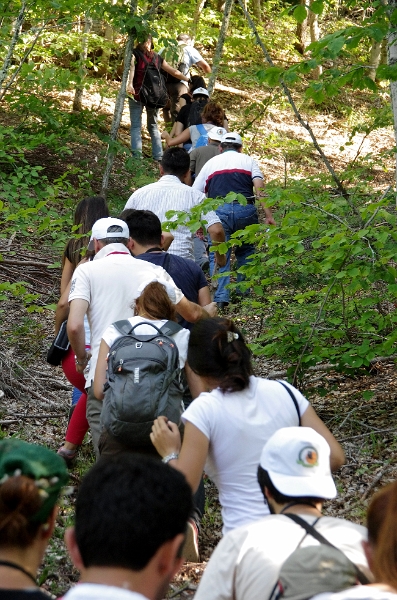 MRBG1957.jpg - 5. G�n | B�y�kali� Yaylas�, Do�a y�r�y��� | Osmaneli