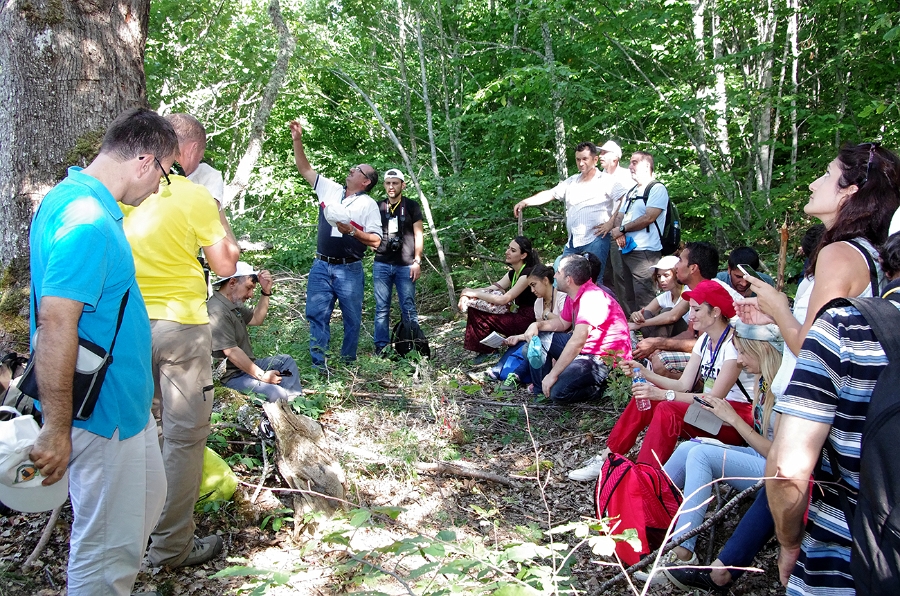 MRBG1972.jpg - 5. G�n | B�y�kali� Yaylas�, Do�a y�r�y��� | Osmaneli