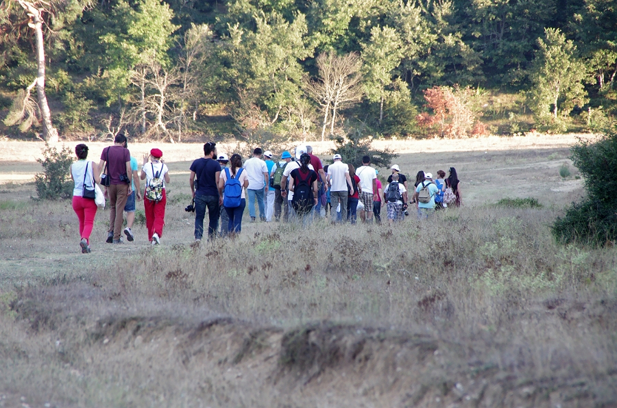 MRBG2095.jpg - 5. G�n | B�y�kali� Yaylas�, Do�a y�r�y��� | Osmaneli