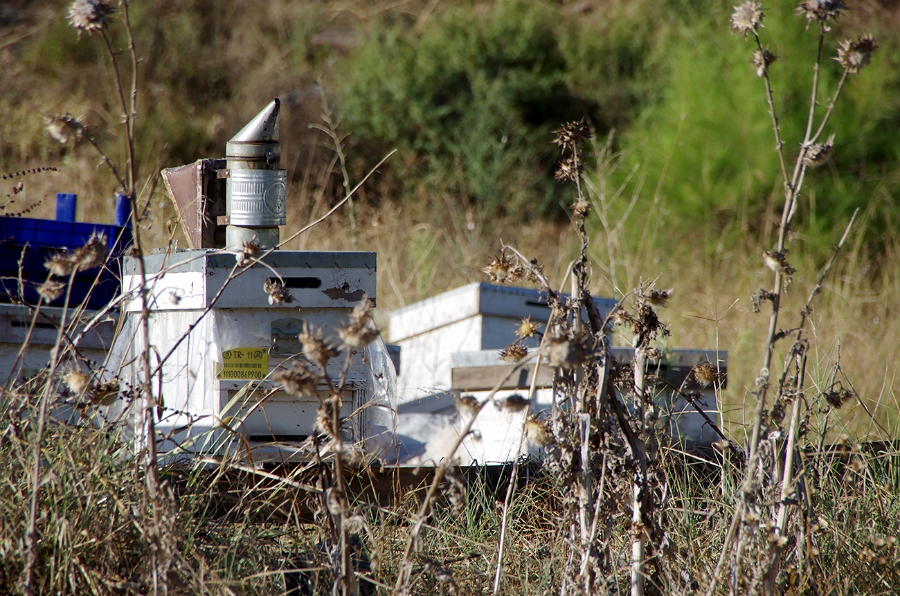 MRBG2496.jpg - 6. g�n  | "Ar�lara kar��mak" | Osmaneli