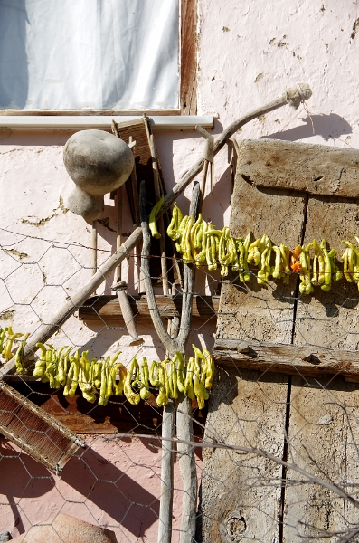 MRBG9652.jpg - 1. G�n | "�pe�e dokunmak" | G�n��ren K�y�, Osmaneli