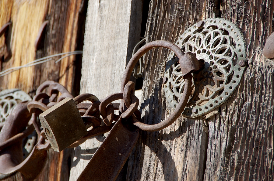 MRBG9664.jpg - 1. G�n | "�pe�e dokunmak" | G�n��ren K�y�, Osmaneli