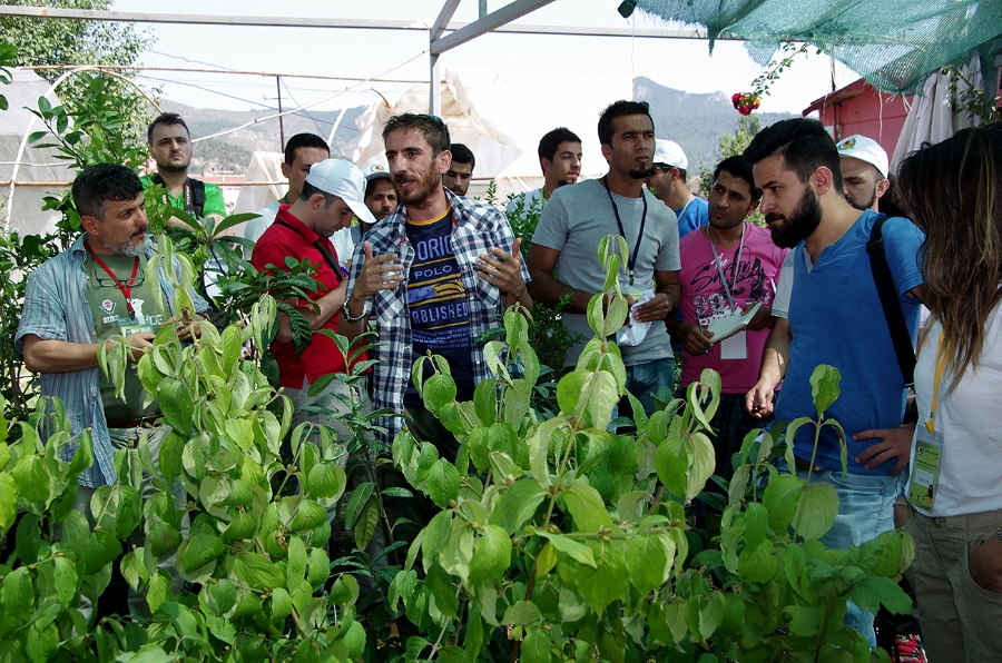 MRBG9929.jpg - 2. G�n | "Tohumdan fidana, fidandan a�aca" | Fidanl�k, Osmaneli