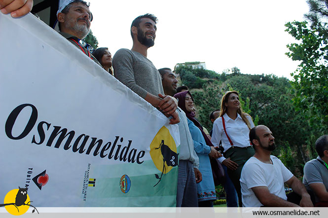 Osmanelidae